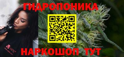 сатива Ижевск