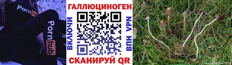 Галлюциногенные грибы ЛСД  даркнет Telegram  Истра 