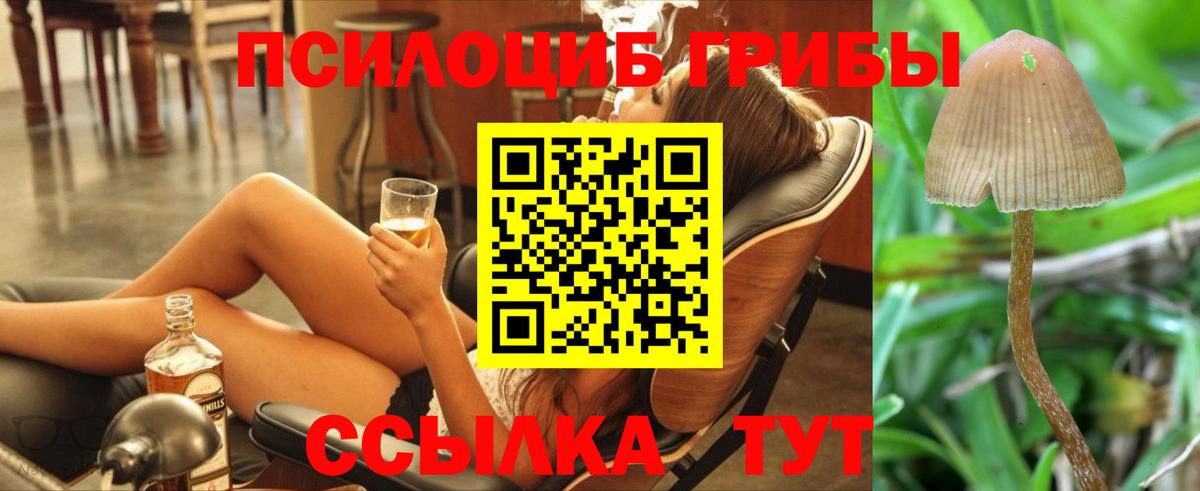 Истра  Псилоцибиновые грибы Magic Shrooms  Галлюциногенные грибы MAGIC MUSHROOMS  Вход с VPN 