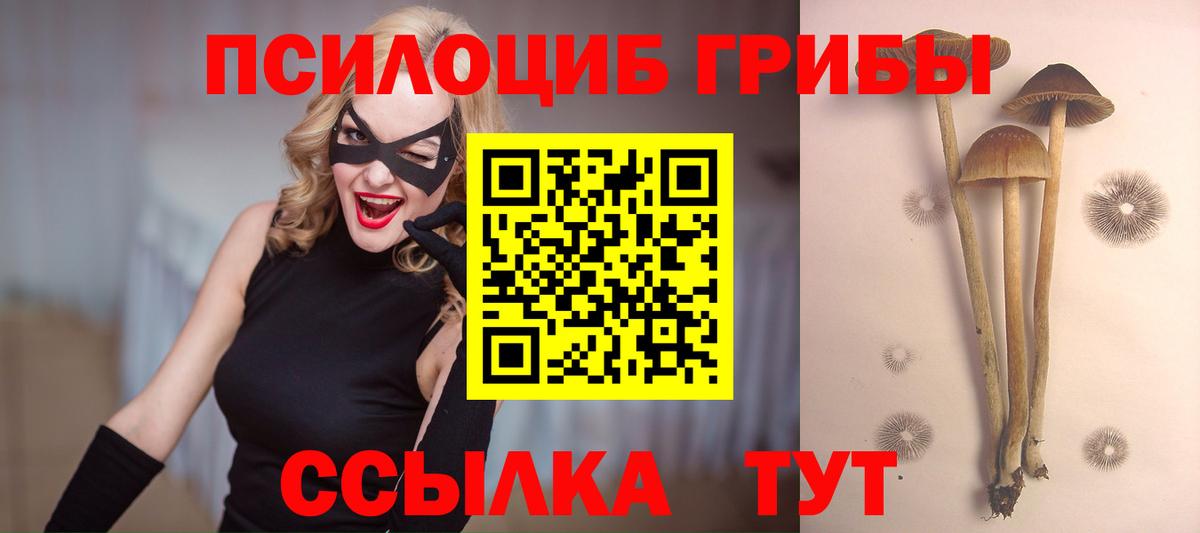 Псилоцибиновые грибы ЛСД Истра